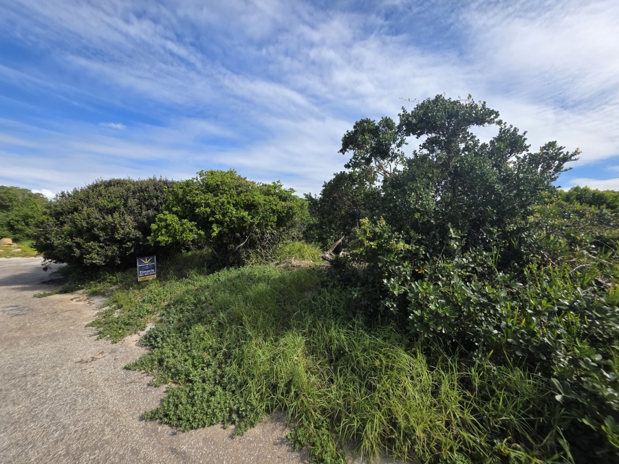 0 Bedroom Property for Sale in Paradise Beach Eastern Cape